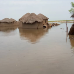 Région de l’Extrême-Nord : Trois communes touchées par les inondations